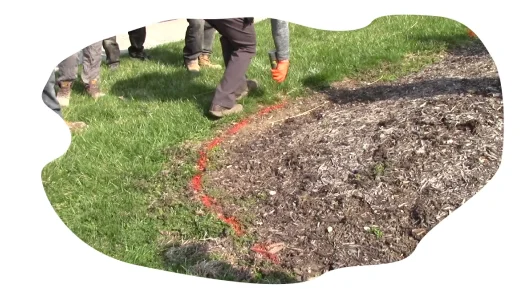 Step 1 - Ground Preparation